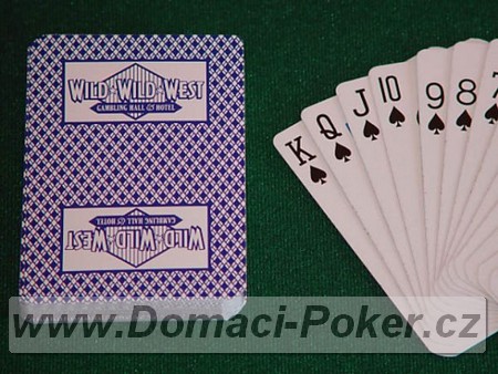 Hrac karty Casino Wild Wild West